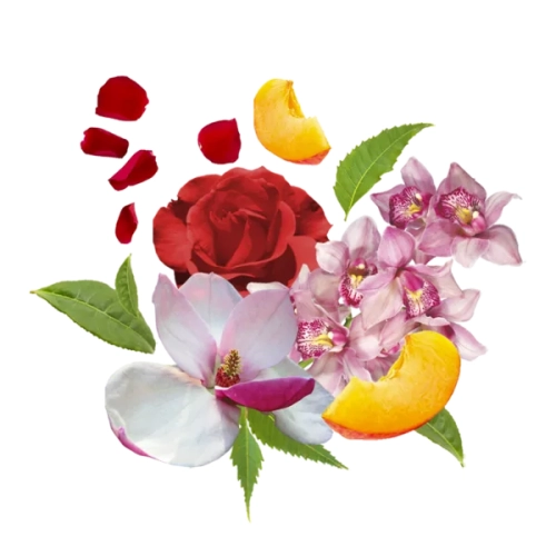 COMPAGNIA DELLE INDIE BURRO CORPO ORCHIDEA LEGNI CEDRO 11 - masło do ciała Orchidea i Drzewo Cedrowe (250 ml)