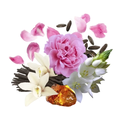 COMPAGNIA DELLE INDIE BURRO CORPO PEONIA E AMBRA 13 - masło do ciała Piwonia i Ambra (250 ml)