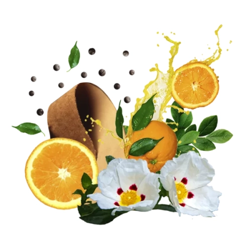 COMPAGNIA DELLE INDIE BURRO CORPO ARANCIA 21 - masło do ciała Pomarańcza (250 ml)