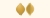 14_particolare_conchiglie-rigate.jpg
