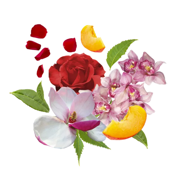 COMPAGNIA DELLE INDIE BURRO CORPO ORCHIDEA LEGNI CEDRO 11 - masło do ciała Orchidea i Drzewo Cedrowe (250 ml)