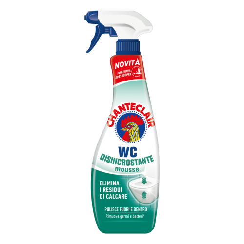 Chanteclair WC Disincrostante - Odkamieniacz do toalet, pianka (625 ml)